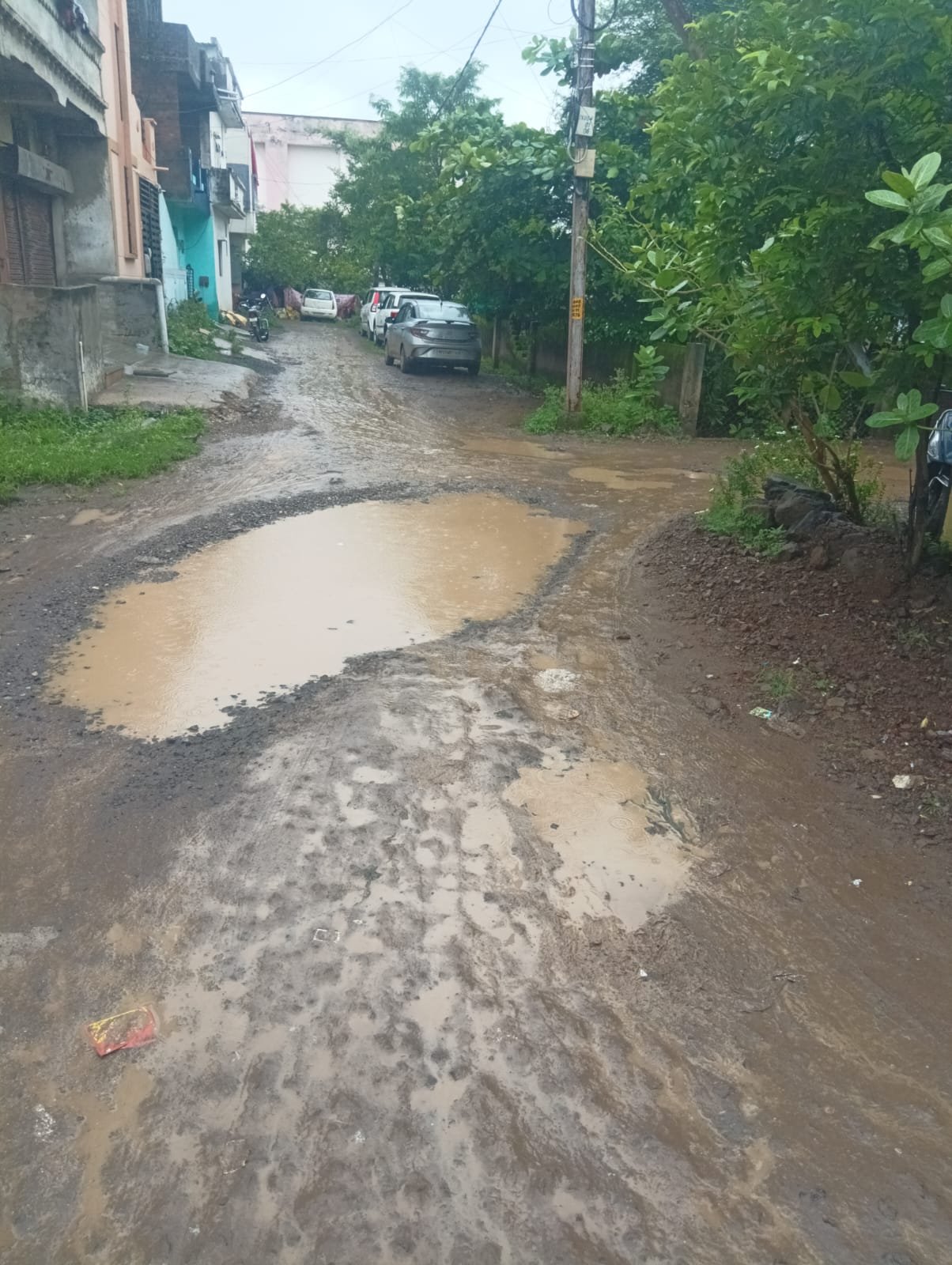 धार। ।25 साल पुरानी चाणक्यपुरी कॉलोनी में सड़क तक नहीं बनी, कीचड़ से फिसल रहे हैं स्कूली बच्चे व वाहन।