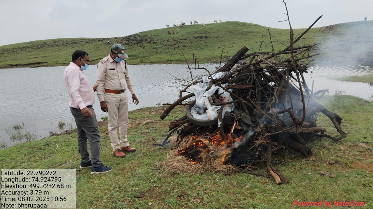 झकनावदा वन विभाग जमीन में शनिवार जंगली 2 सुवरो के शव मिले,वन विभाग ने किया अंतिम संस्कार।