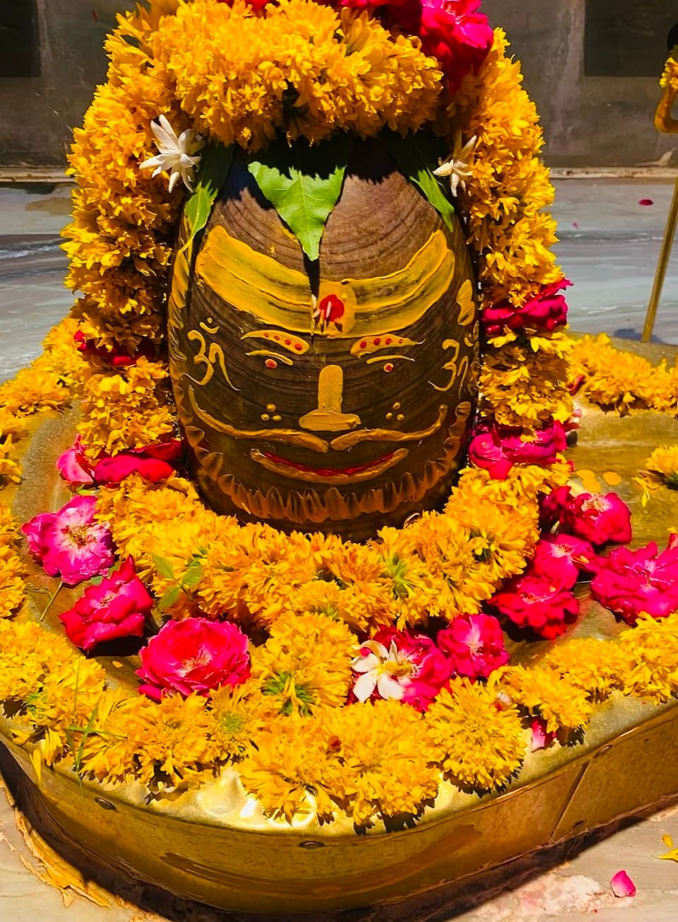 नेशन बुलेटिन धार।श्री धारनाथ भगवान के भव्य छबीने की तैयारियां शुरू, 7 सितंबर को होगा नगर भ्रमण।